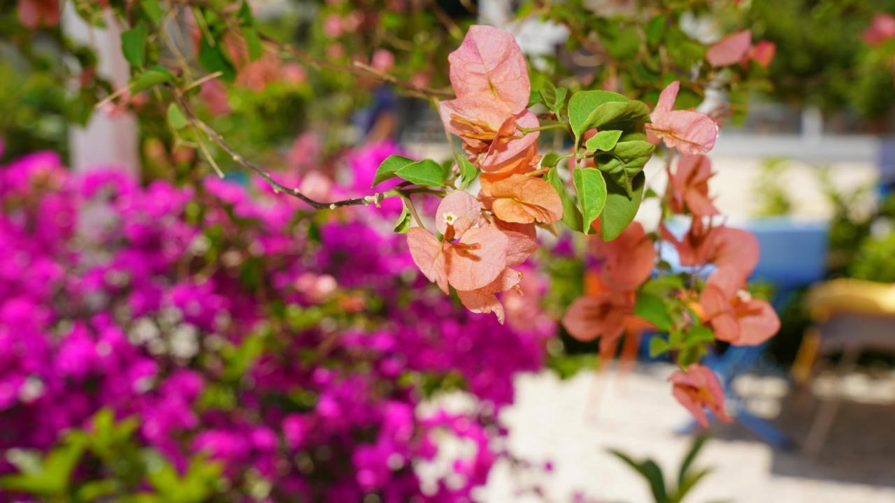 Yelken Bungalov Bed and Breakfast Milas Buitenkant foto